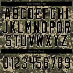 Custom Camo Black-Cream Authentic Salute To Service Baseball Jersey